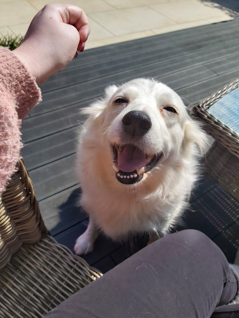 Cardiff Met Drama Soc tweet media