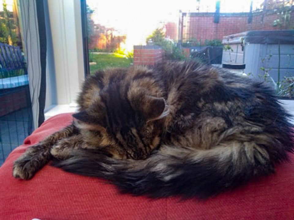 Cardiff Met Drama Soc tweet media