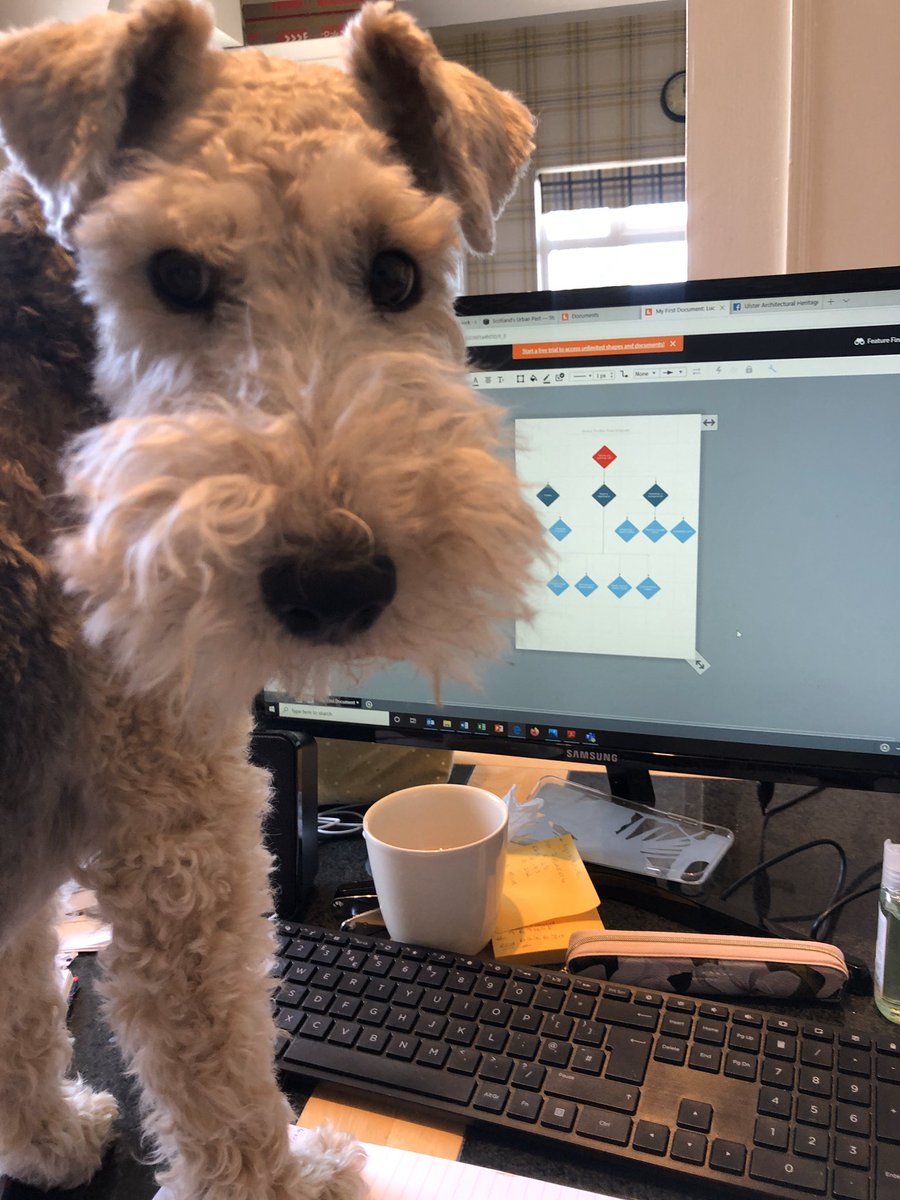 ConnieGerrow's tweet photo. This new boss is hard work @nikmcv and knows no boundaries! ๐ถ#StayHomeSaveLives #HeritageFromHome #SeeAPupSendAPup https://t.co/mAwxi77ewW