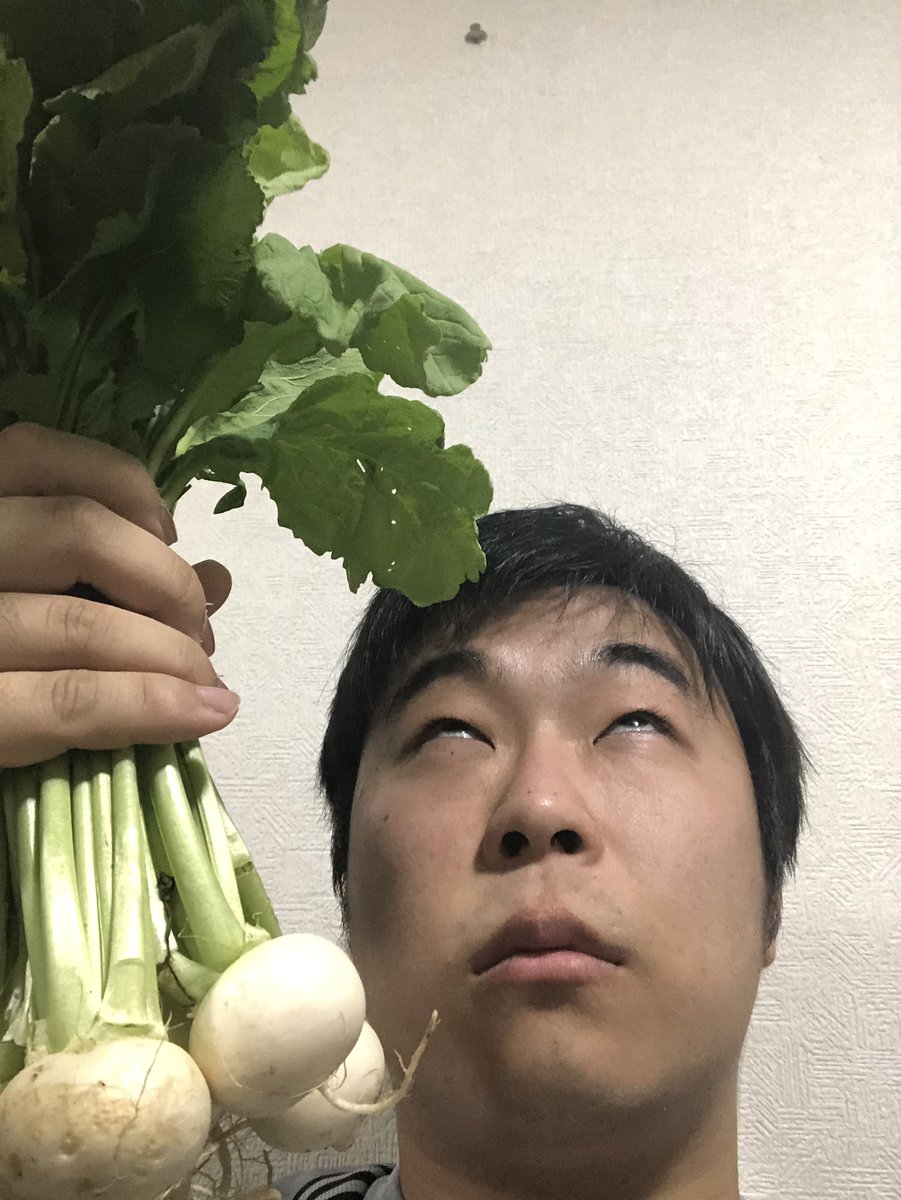 さっきスーパー行ったらカブ売ってて、最近ずっとどうぶつの森やってたせいで衝動買いしてしまったんだけど、冷静になるとカブってなんの料理にもならなくない？転売以外でいい活用法知ってる人教えてだなも💹
