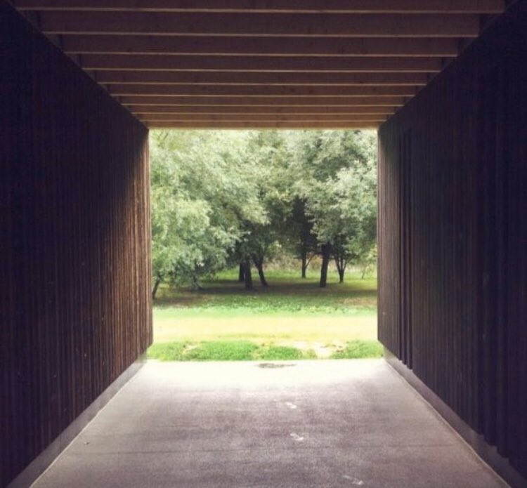 LDNBuddhist's tweet photo. Go placidly amid the noise and the haste, and remember what peace there may be in silence. #isolation #spacioussolidarity #COVID19 #perspective #isolationexperience https://t.co/qhopdGcckU