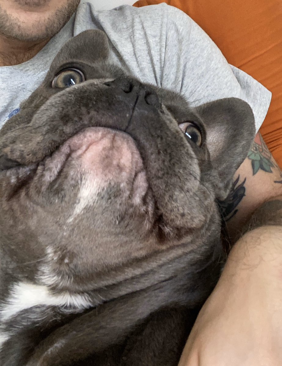 Ora che ti guardo bene...