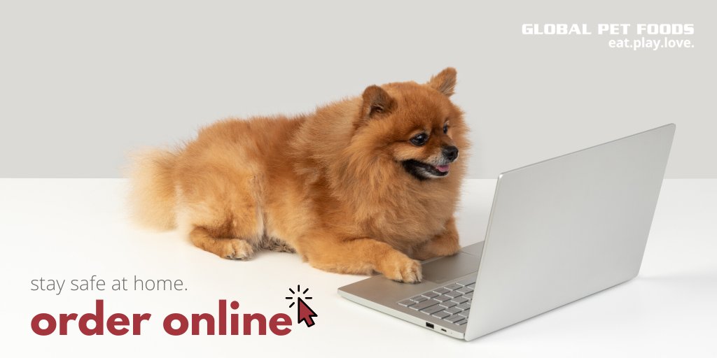 GlobalPetsNL's tweet photo. IT'S HERE! 🎉 Now you can place an order for Curbside Pickup easily while you're safe at home. Just visit our order page, tell us what you would like or snap a photo, and we'll fetch the items for you! To order, visit https://t.co/ZXKVCbu27T https://t.co/JGyqPaWVik