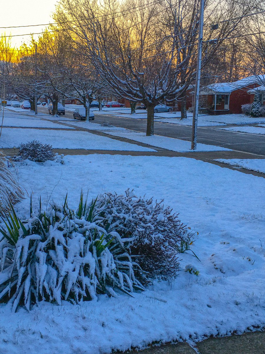 dmmohrman's tweet photo. @MarkJWeather It’s beginning to look a lot like Christmas.....Oh wait it’s April 16 in Elyria, Ohio 🥴 https://t.co/YRb1ksIMgf