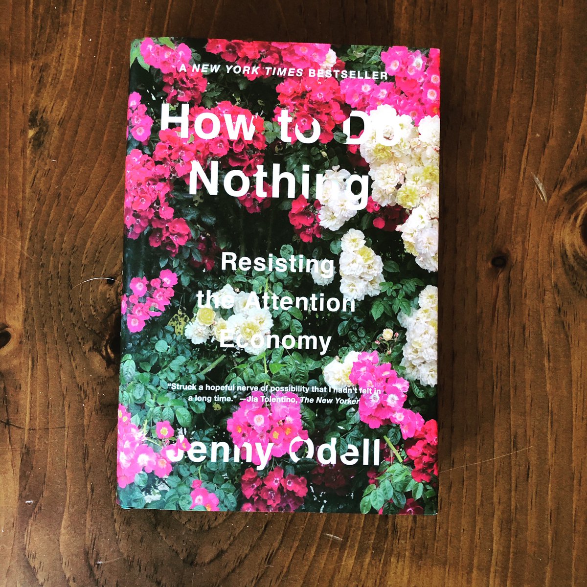 35/52How To Do Nothing: Resisting the Attention Economy by Jenny Odell. I cannot recommend this enough, and no, it’s not a social media bashing screed. It’s thoughtful, researched, and nuanced and now is the perfect time to read it.  #52booksin52weeks  #2020books  #booksof2020