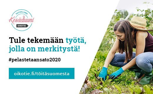 kesaduuni's tweet photo. @Oikotie_duunit ja #VKD20 ovat mukana työllistämässä nuoria kesätöihin maatiloille ja puutarhoille.🍃
#pelastetaansato2020 #kausityö #seasonwork #töitäsuomesta #kausityö2020
https://t.co/RzRlPogvci
@Elinkeinoelama @HPL_liitto @ProAgria @MTKry @juhotoivola @suomenkylat https://t.co/AG305qBD38