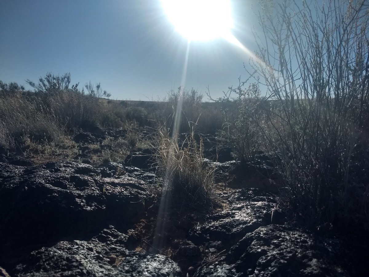 joshagentry's tweet image. Solitary walk. Thanks to the wife for a chance to get away for a bit. #pandemicdiary