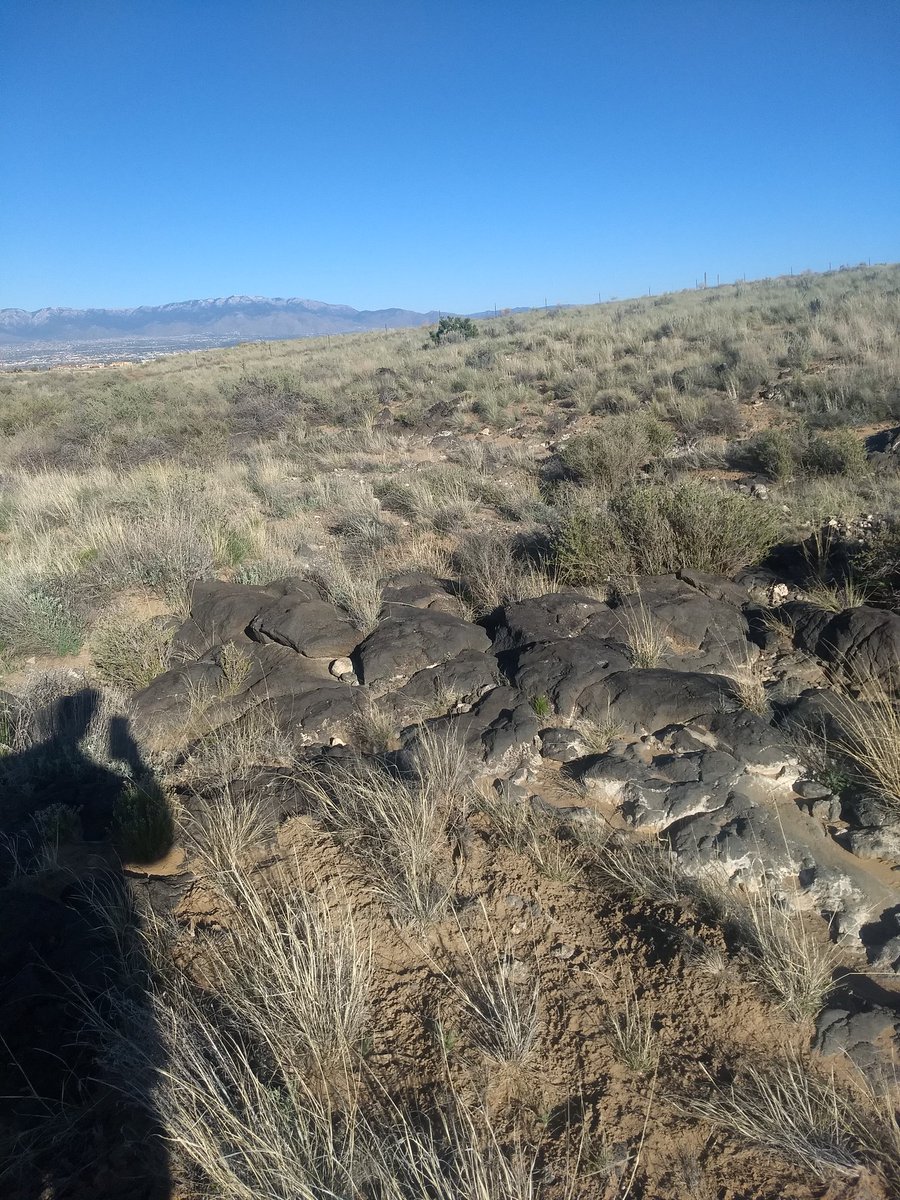 joshagentry's tweet image. Solitary walk. Thanks to the wife for a chance to get away for a bit. #pandemicdiary