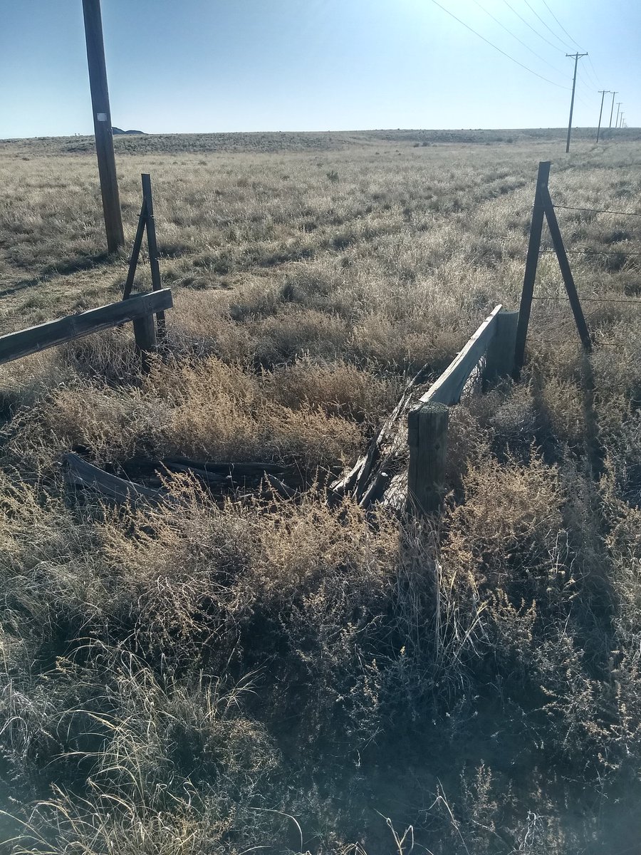 joshagentry's tweet image. Solitary walk. Thanks to the wife for a chance to get away for a bit. #pandemicdiary