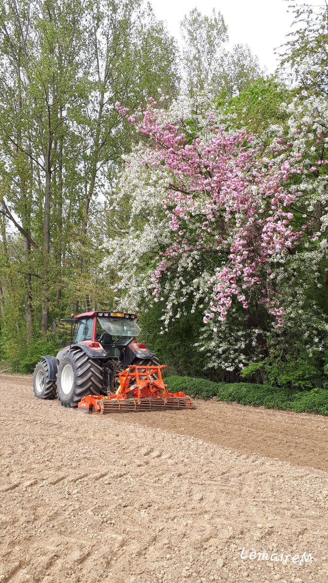 MathildeLemair's tweet photo. Préparation terres à pommes de terre 💨 un arrêt photo s'imposait🤩😎 #valtra #ceuxquifontlespatates https://t.co/OQmdFxlRHJ