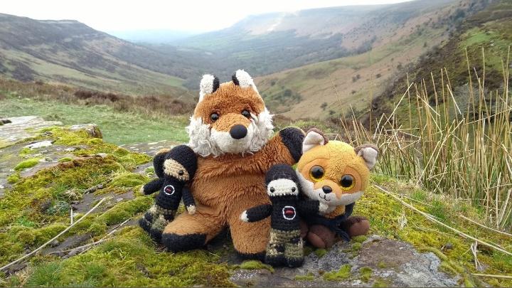 SabCharlie's tweet image. Adventures with @BasTheFox and @SabTiny a year ago! #SquadGoals