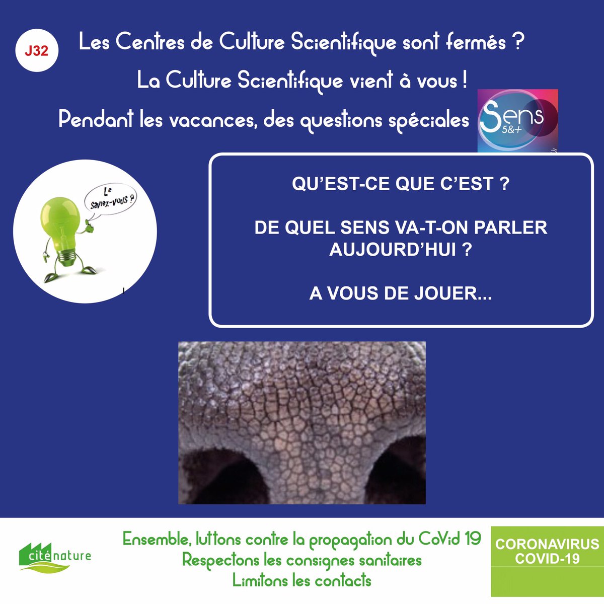 32ème jour de fermeture de Cité Nature.
Vous êtes de plus en plus nombreux à suivre nos infos sciences chaque jour et nous en sommes ravis ! Merci ! La question du jour ...
