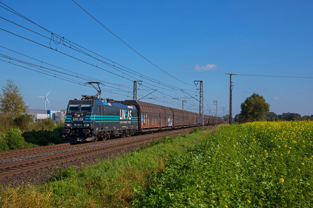 LineasForce's tweet photo. Lineas and @greencargo are recuperating 2 weekly round trips between Ghent 🇧🇪 and Malmö / Hallsberg 🇸🇪 for the transport of supermarket goods during the coronavirus outbreak. Continuity of #rail logistics and goods supply in times of #COVID19💪#WeAreInThisTogether #FreightForce https://t.co/3R1C0wY2aZ