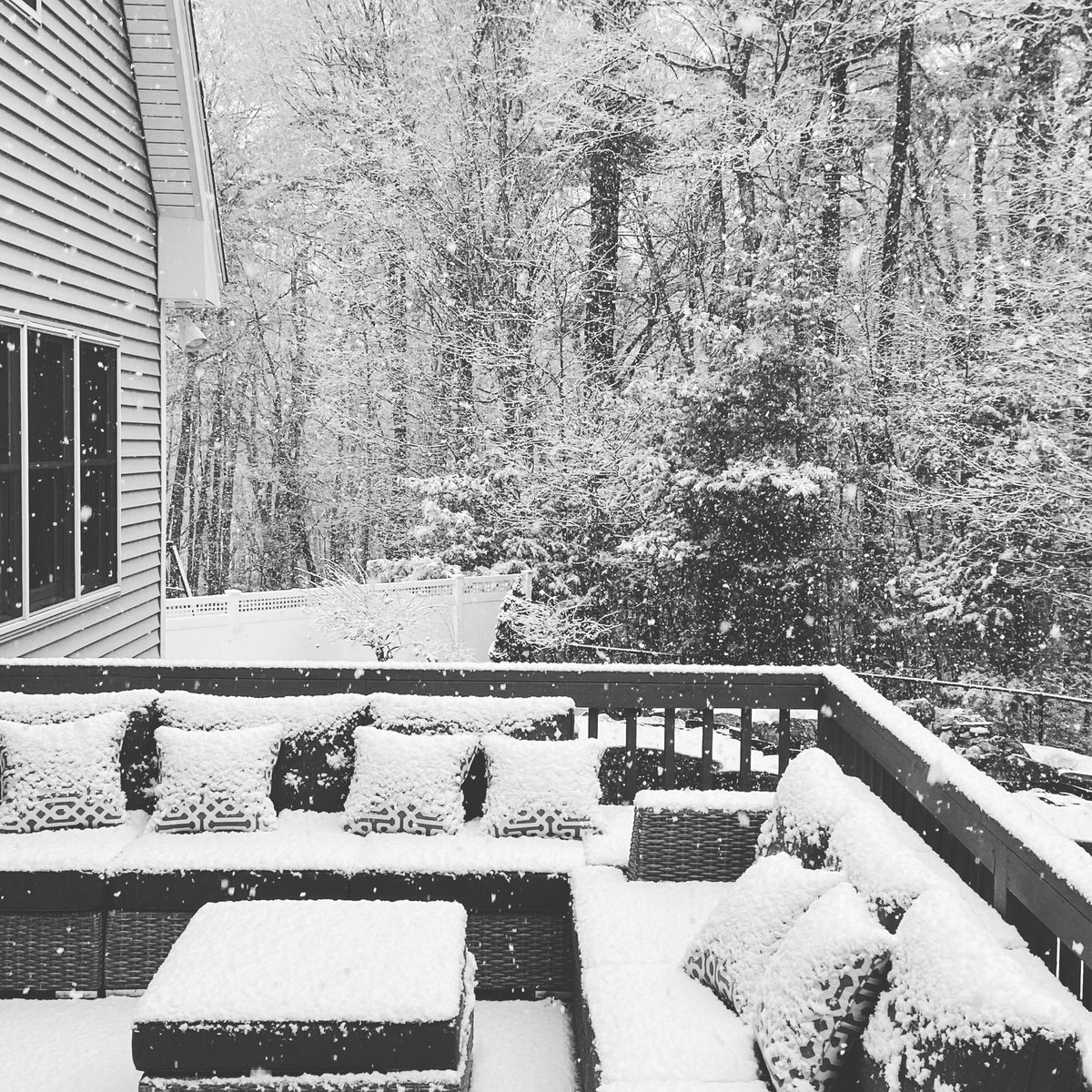 sully_squirrel's tweet image. Snow day! No school....