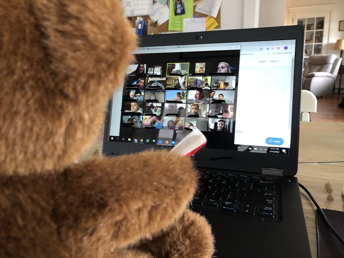 Thank you ⁦<a href="/akilkenny23/">Ms. Alexandra Kilkenny</a>⁩ ⁦<a href="/mbarcuskyWTE/">Marian Barcusky</a>⁩ for inviting me and my furry friend to your ⁦@zoom_us⁩ stuffed animal gathering. It was so much fun! #teamWTE