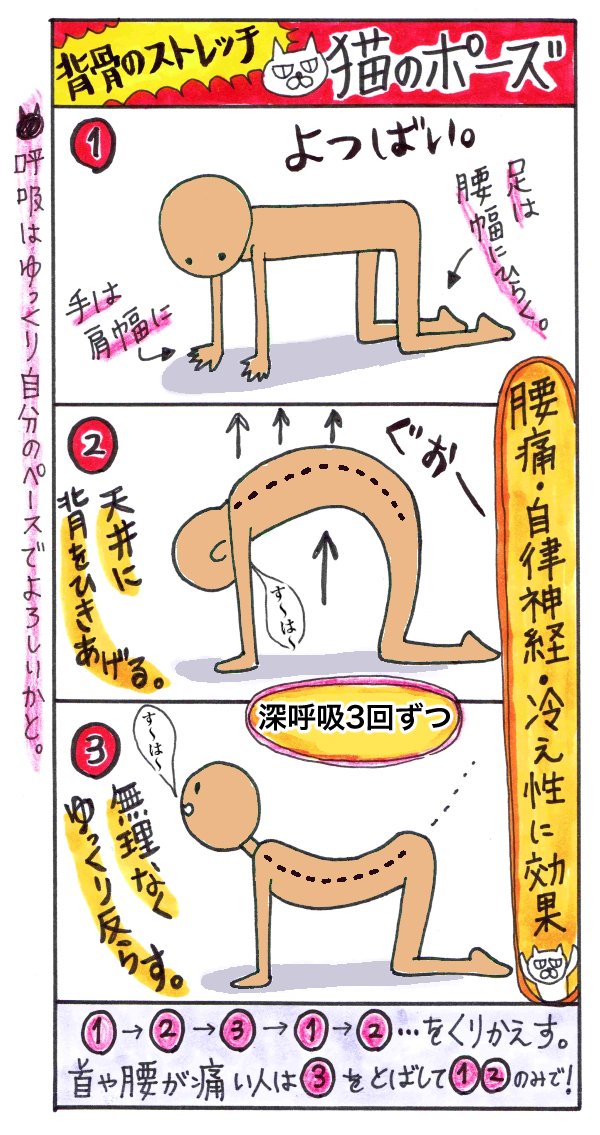 【寝る前にやって腰痛を回避していたストレッチ】

猫のポーズ→子どものポーズ

固まりまくった背骨が…ほぐれるのです…
他に何もやる気ないヘロヘロの日でも、この2つはできた。起きた時の激だるさも結構ちがいます

猫のポーズのあとに「猫ねじり」をやるともっと良し→https://t.co/FWs6fNRL5t 