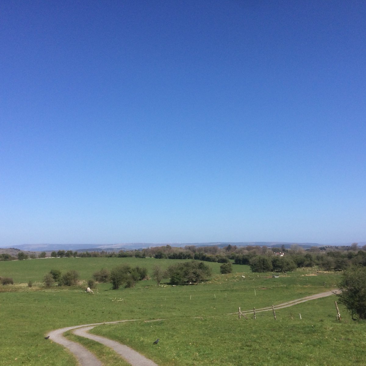 Matthew Gammon tweet media