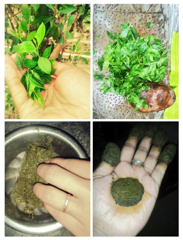 sumita_deka's tweet photo. ... দুহাতত জেতুকাৰ বোল 🌿
🌺🌸🌺🌸🌺🌸🌺🌸🌺🌸🌺
(Applying Jetuka is one of the major rituals on the eve of Rongali Bihu. Apart from its unique color, Jetuka has some medicinal benefits.)
#জেতুকা #বহাগ_বিহু
#jetuka #RongaliBihu https://t.co/VQg71XflUx