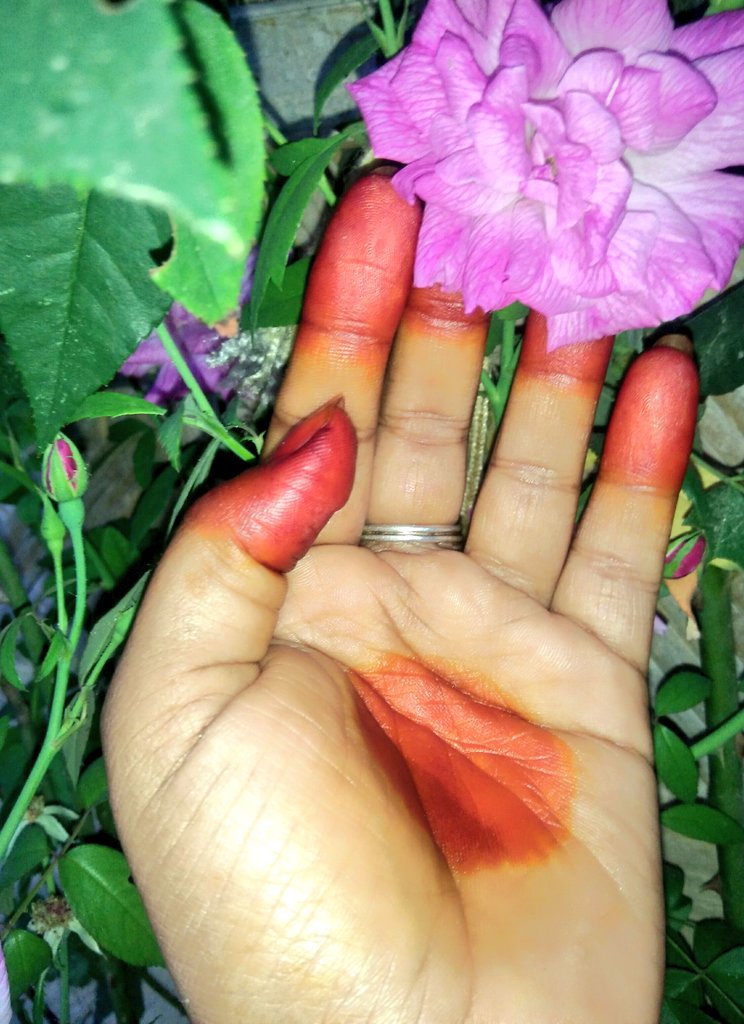 sumita_deka's tweet photo. ... দুহাতত জেতুকাৰ বোল 🌿
🌺🌸🌺🌸🌺🌸🌺🌸🌺🌸🌺
(Applying Jetuka is one of the major rituals on the eve of Rongali Bihu. Apart from its unique color, Jetuka has some medicinal benefits.)
#জেতুকা #বহাগ_বিহু
#jetuka #RongaliBihu https://t.co/VQg71XflUx