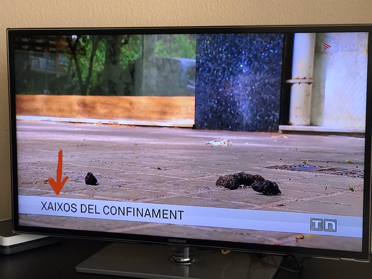 Manelsaus's tweet photo. El que ha posat els subtítols al TN Migdia de @tv3cat d'avui és, sense cap mena de dubte, de Sabadell. #Xaix https://t.co/18ag4cYgxT