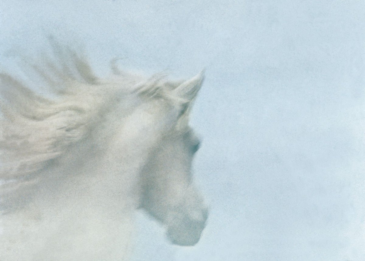 Lord Snowdon:A white Arab stallion for te 1966 White Christmas edition of Vogue.