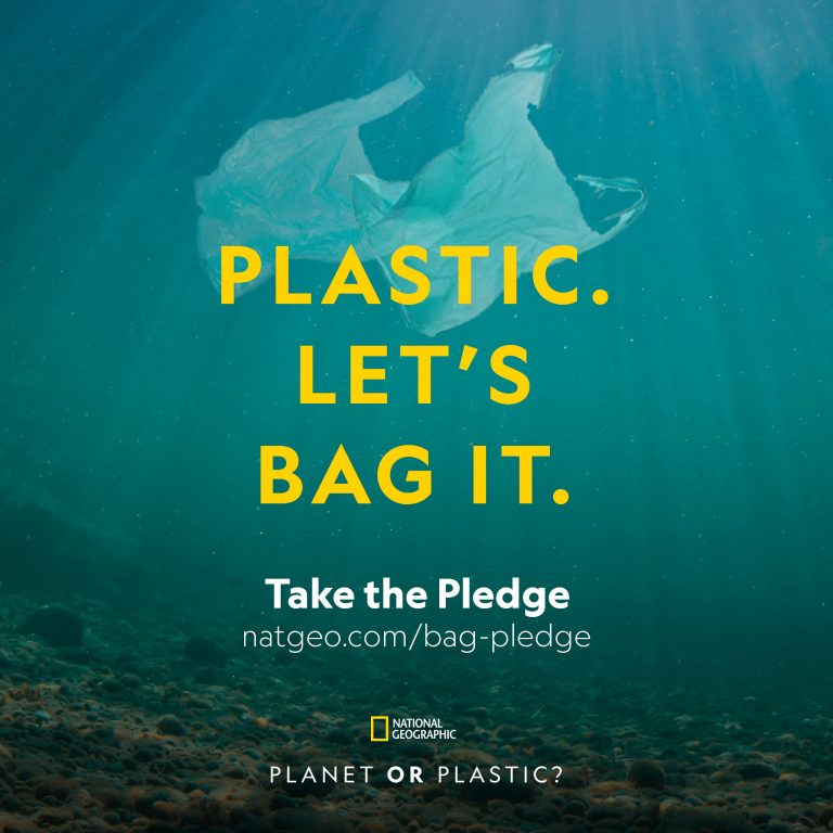 GreenMochila's tweet photo. #PlanetorPlastic? #Ichooseplanet 

I’ve made a pledge to carry a reusable shopping bag every time I go shopping.

What will YOU choose? Take the pledge and pass it on: https://t.co/p5M1Q1U1FP https://t.co/AbgkHULyEP