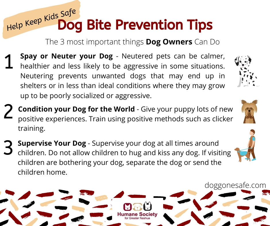 TheHSFN's tweet photo. It is #NationalDogBitePReventionWeek and we wanted to share some tips on to stay safe and prevent dog bites!
#NHDogs #DogBitePrevention #DogBitePreventionWeek #StaySafe https://t.co/8s5Vv9TtRb