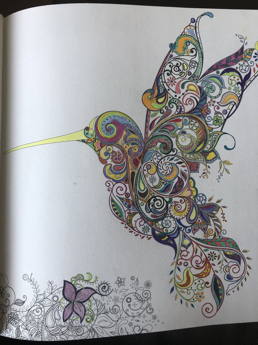 LAAlgarvio's tweet photo. @FraserPDSB @Churchvilleps I’ve been colouring https://t.co/ic7ZXG5CJA