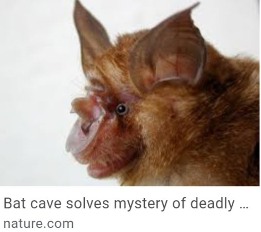 The paper above shows "sequence elements", or motifs that had been heretofore unique to SARS-CoV-1 proper, many of them, that appeared only in this particular group of 1 genus of bat, Rhinolophus, that WIV had uncovered...