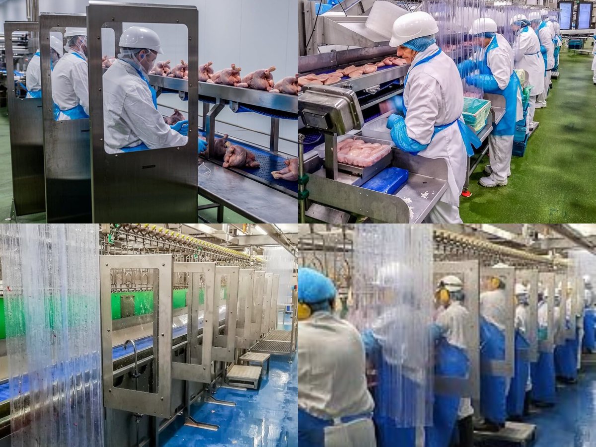 AvaraFoods tweet media