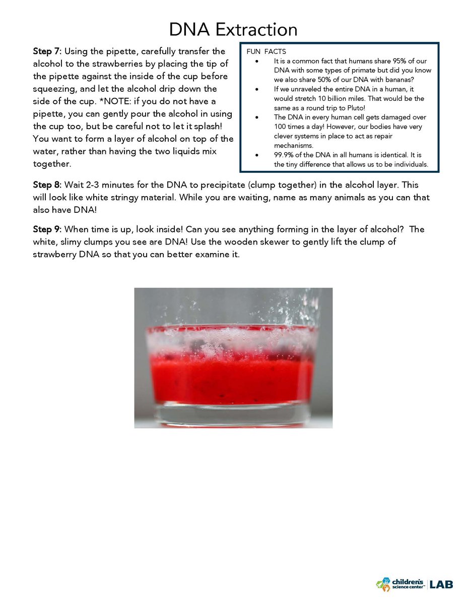 ChildSci's tweet photo. Here's a sweet DIY experiment for you! No lab coat required! https://t.co/yzbYugSVEg
