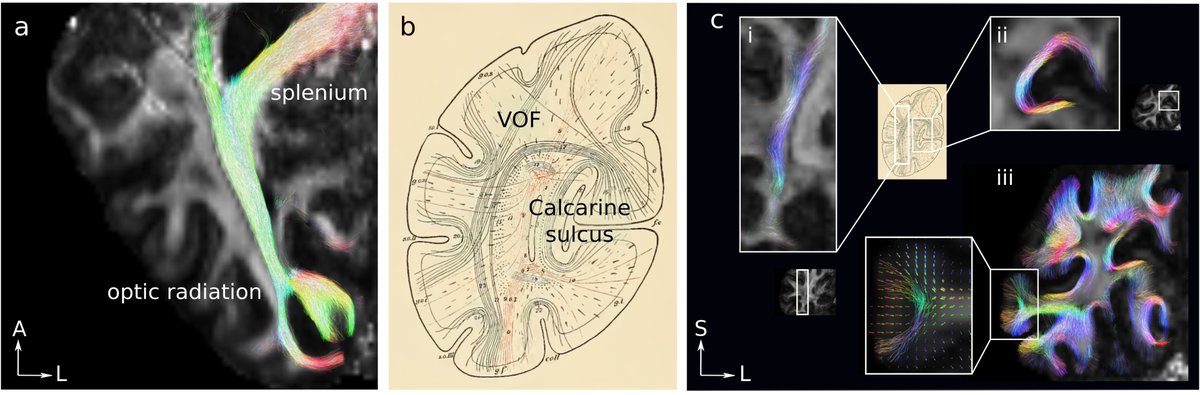 Nikolaus Weiskopf @NikWeiskopf@social.mpdl.mpg.de tweet media