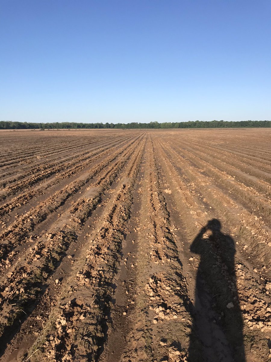 keith fabick tweet media