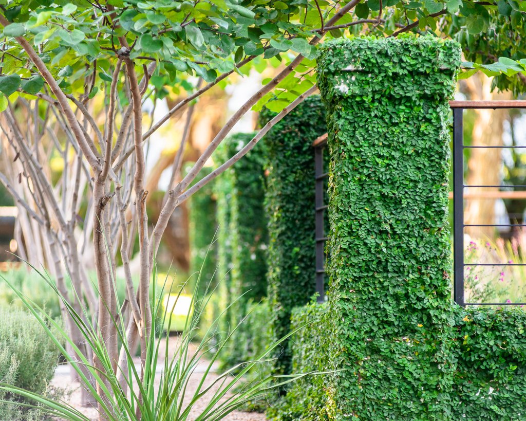 A magical courtyard from a series of photos I did of an Eden Garden Design Project @eden_garden_design
