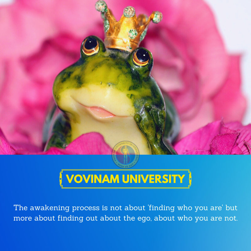 VovinamUI's tweet image. The awakening process is not about 'finding who you are' but more about finding out about the ego, about who you are not.

vovinamuniversity.com
#TheWayofLife
#IntelligentMind
#EnlightenedSpirit
Quote from Maria Erving