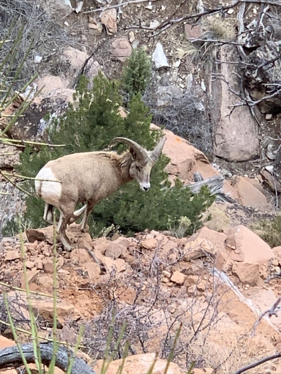 samhtweet's tweet photo. @COParksWildlife Hiking on the western slope https://t.co/T6bqOdB1yz