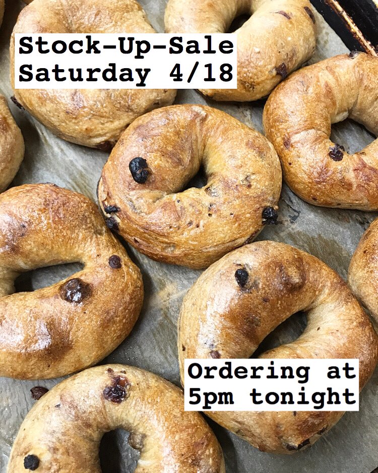 Bagelsaurus tweet media