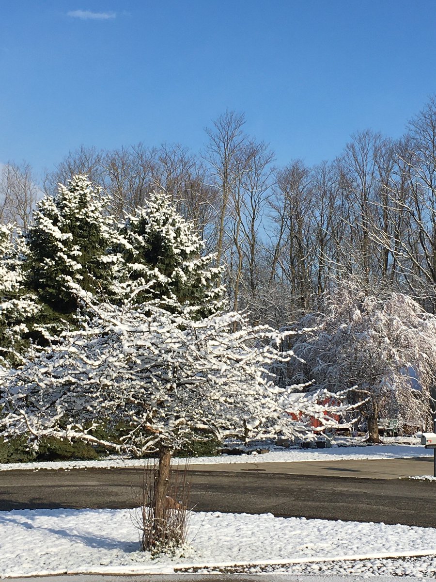 Cre8ivityCounts's tweet photo. Well, it’s winter again. https://t.co/1tm6ADCLIh