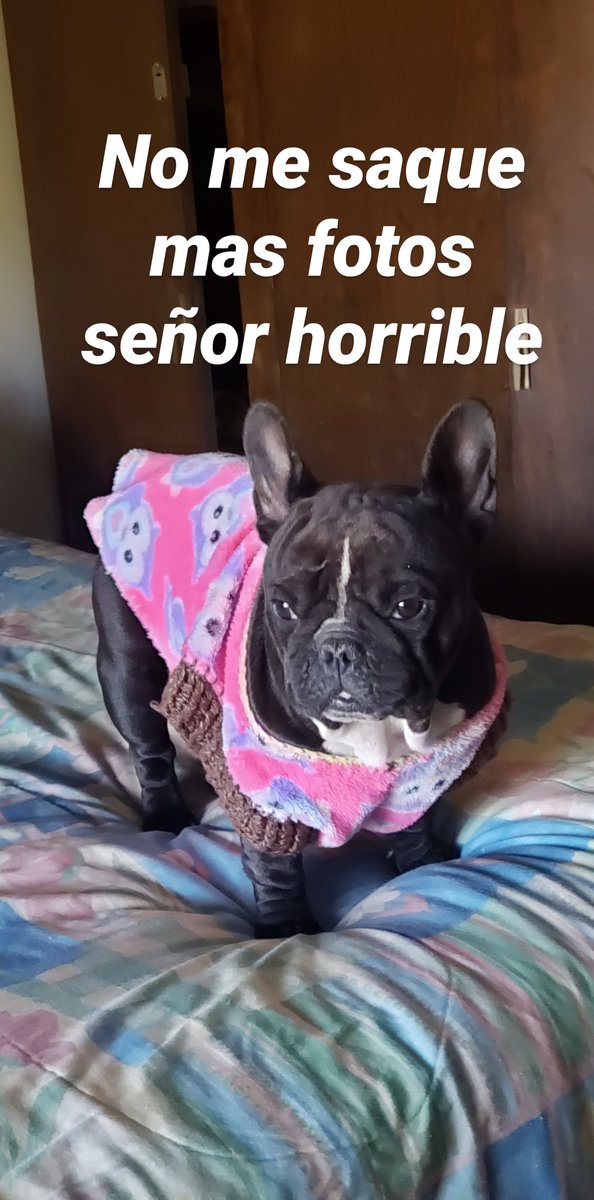 Dami (@damivarela) on Twitter photo 