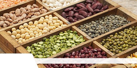 Global #VegetableSeed Market Research Report 2015-2025
Read at- bit.ly/34GGsHT

Get report sample at- bit.ly/2z3Gkq9

<a href="/Takiiseed_1835/">【公式】タキイ種苗株式会社(タネのタキイ)</a> <a href="/RijkZwaan/">Rijk Zwaan</a> <a href="/enzazaden/">Enza Zaden</a> <a href="/Limagrain/">Limagrain</a> <a href="/Syngenta/">Syngenta</a> 

#Solanaceae #Cucurbit #Root&amp;bulb #Brassica #Leafy