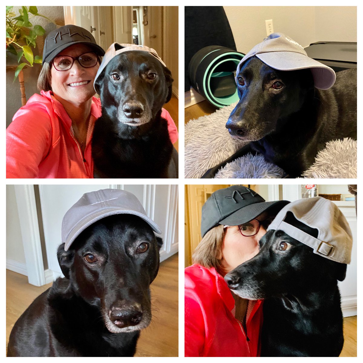 It’s hat day 🧢 for #NoStressDress <a href="/LakeviewMS/">Lakeview MS</a> so why not have a photo shoot with the #classpet. #WeAreLakeview #distancelearning