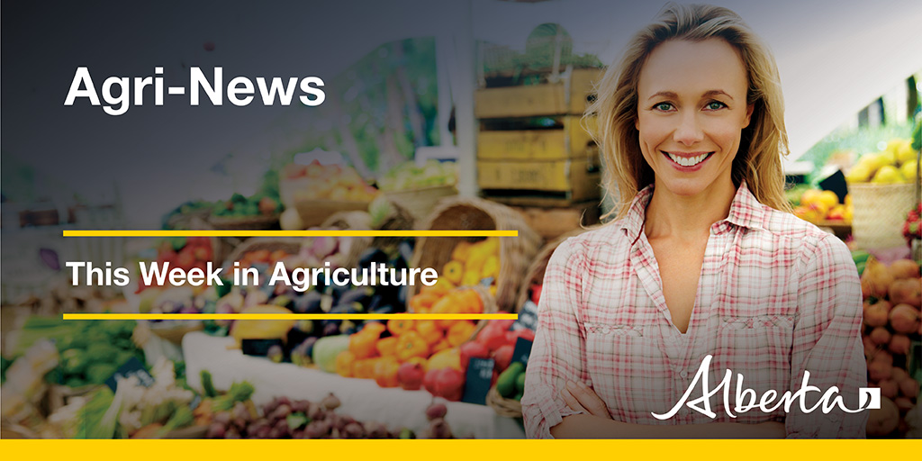 AlbertaAg's tweet photo. This week in Agri-News:
- Filling jobs and keeping the food supply safe
- AFSC board appointments
- COVID-19 resources for farmers and producers
- Market updates
And more! #abag #westcdnag
https://t.co/SuxreOzhSF https://t.co/3YnqKYPgpy