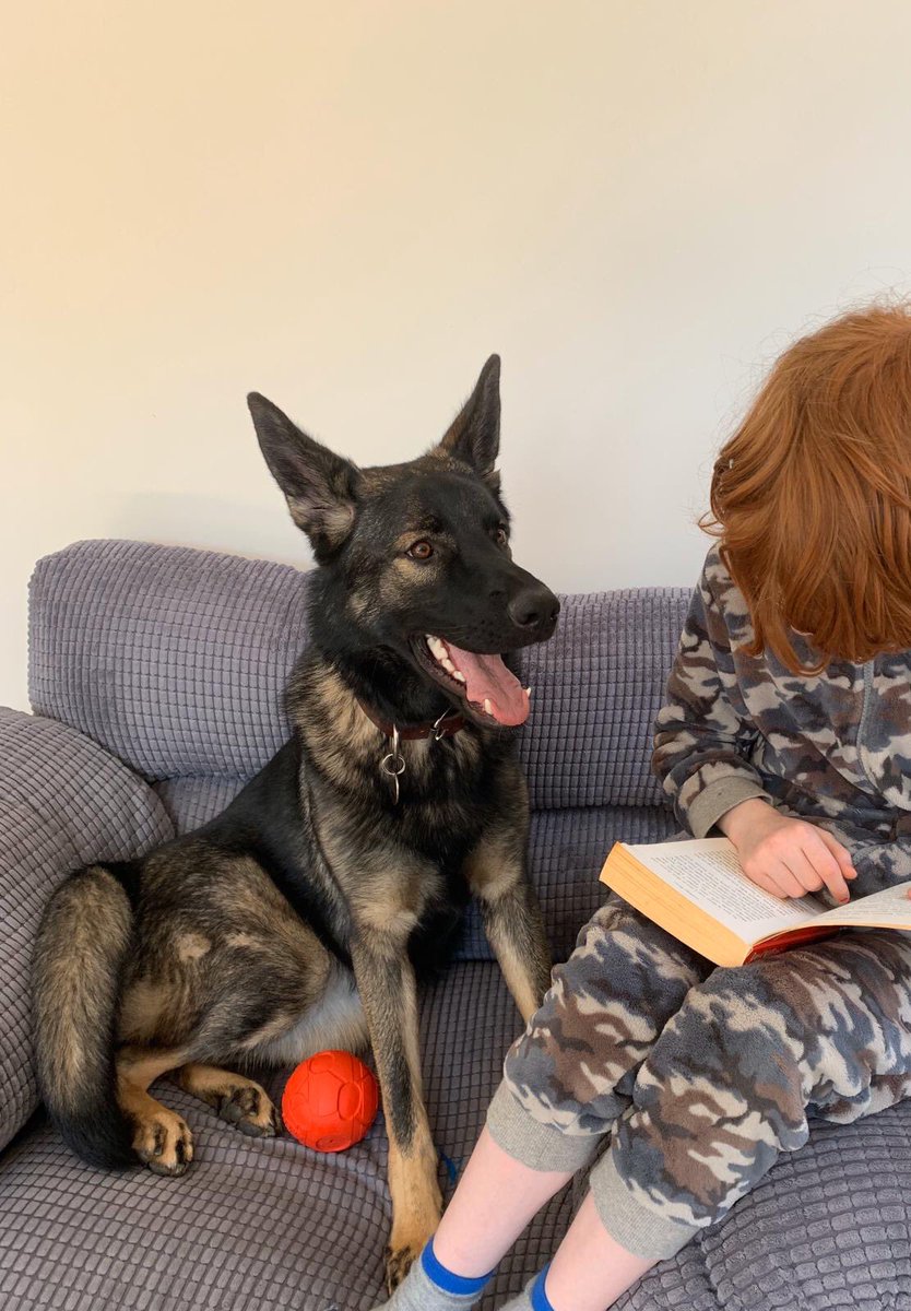 We have previously featured the special relationship between TPD Fendi and Archie who is autistic. She found them together this morning with Archie reading stories from his book to her.
