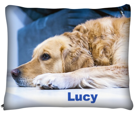 cprRescue's tweet photo. Enter code: CPR at checkout, and Dogs-n-u will donate $5 to Chicago Pet Rescue when you buy a custom dog bed: https://t.co/jCmA1XGJ37.
#customdogbed, #dogsnu, #supportoursupporters, #cpr https://t.co/Nb4RZBXDJB