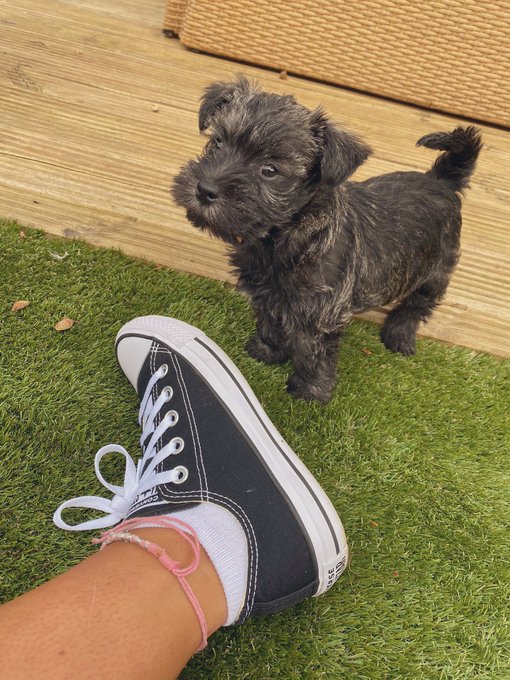 Watch clara's leaked NSFW photo on TwXstars