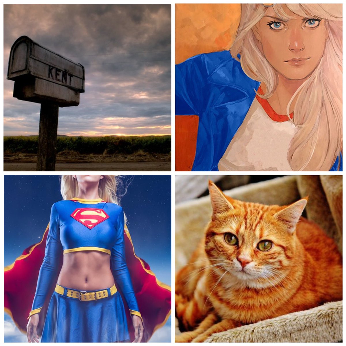 SuperGirl / Kara Zor-El / Kent
"My story isn't over...There will be different people who tell it differently, but it won't matter. I know now. There is only one Supergirl. And that's me."

> Descriptive
> #DCRP
> Ship: <a href="/BetterThanKalEl/">Alexander J. Luthor</a> 
> WT: #AsukaNervFic
> RLShip: @BeetleTim