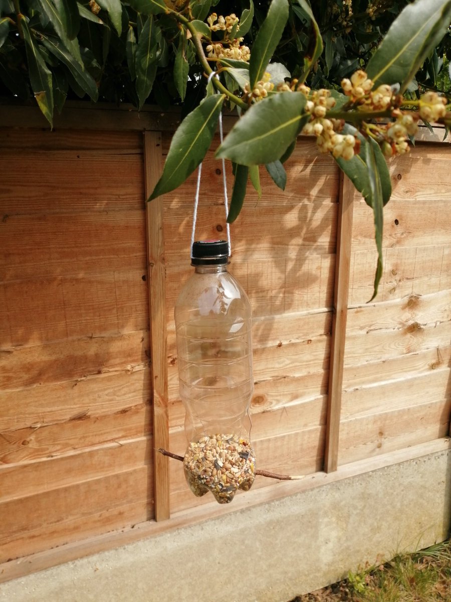 SHS__Science's tweet photo. A bird feeder made by Mrs Masters @ShenfieldHigh #recycling #ThursdayScience #Feedthebirds https://t.co/6oCRXwXItF