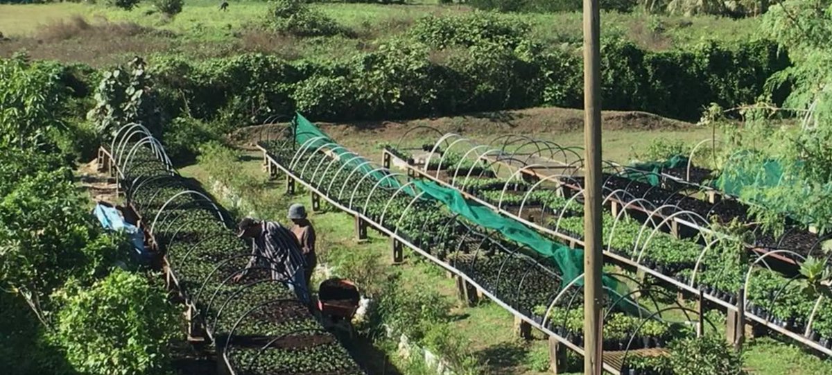 CTAflash's tweet photo. Two 🇫🇯 Fiji-based #SME's, NWC and @TraSeableFiji, found ways to work together to improve value chains in the #Pacific. Their partnership is the result of a CTA regional networking event in Tonga 🇹🇴:
https://t.co/x8naOMY0Cy https://t.co/8VsOTXX1B9