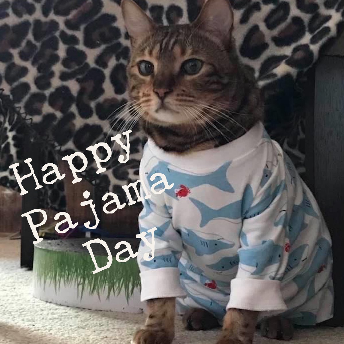 WalkieWalker's tweet photo. Happy Pajama Day!! #pajamadayeveryday #pajamaday #determineddragons https://t.co/qAxRf0zKnW