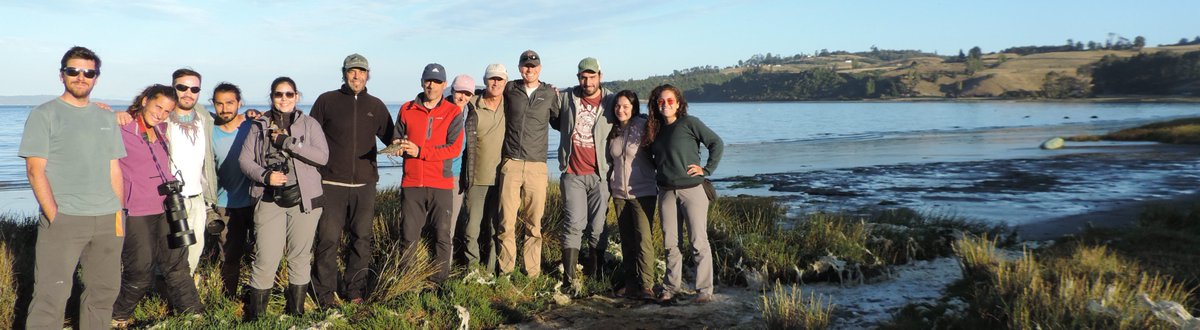 birdecologylab's tweet image. Conocimiento @UAustraldeChile colider @NRSenner colab @verdugoclaudio @EBassoQ @maculipennis_ @jennylinscott @MitchWeegman @sjctkd @VerhoevenMo @camilgherardi @ClaudioNavP @JonyquaAmado @_JSGutierrez @valearaya_ @CECPAN &amp;amp;'Mono'Ruiz+N.Mtnez-Curci+'Pipe'Abad+J.Masero+J.Gutiérrez ✌️